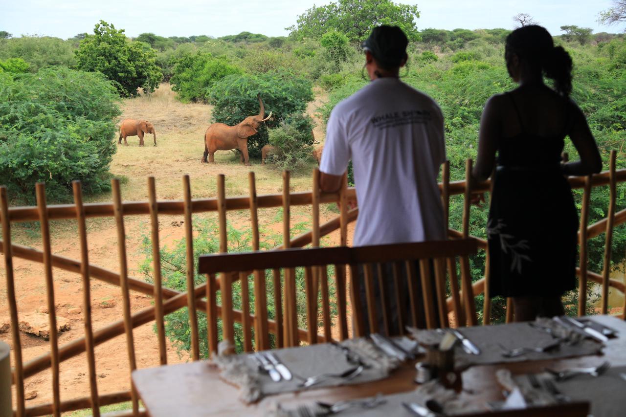 Manyatta Camp Hotell Voi Exteriör bild